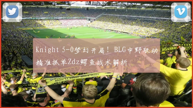 Knight 5-0梦幻开局！BLG中野联动精准抓单Zdz鳄鱼战术解析